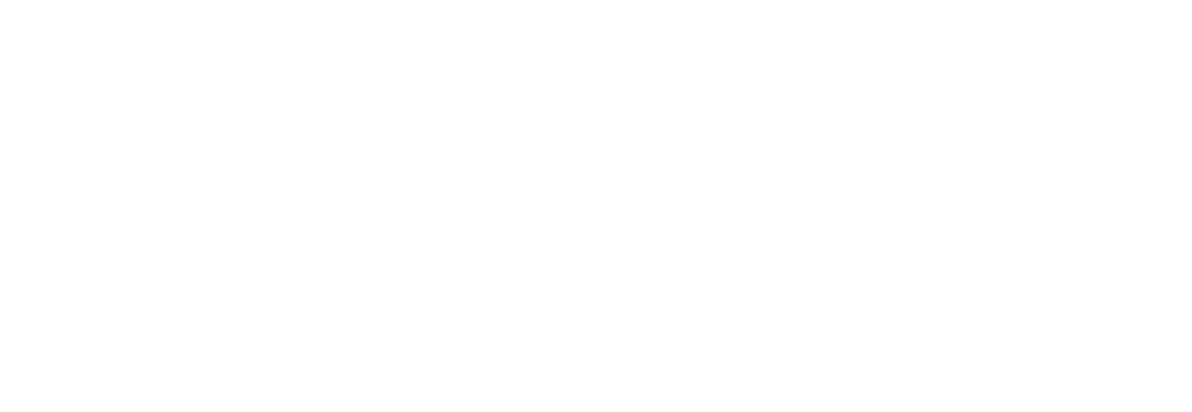 bias bina logo